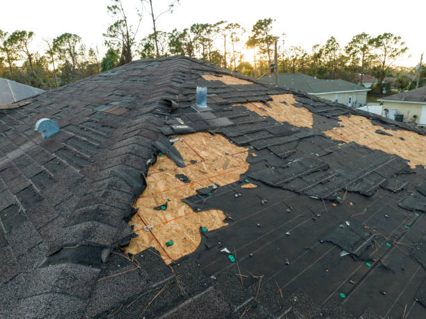 Best Asphalt Shingles Roofing  in Berlin, OH